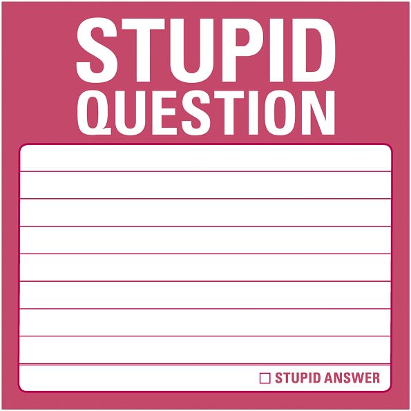 Stupid Question Sticky Notes 100 Sheets