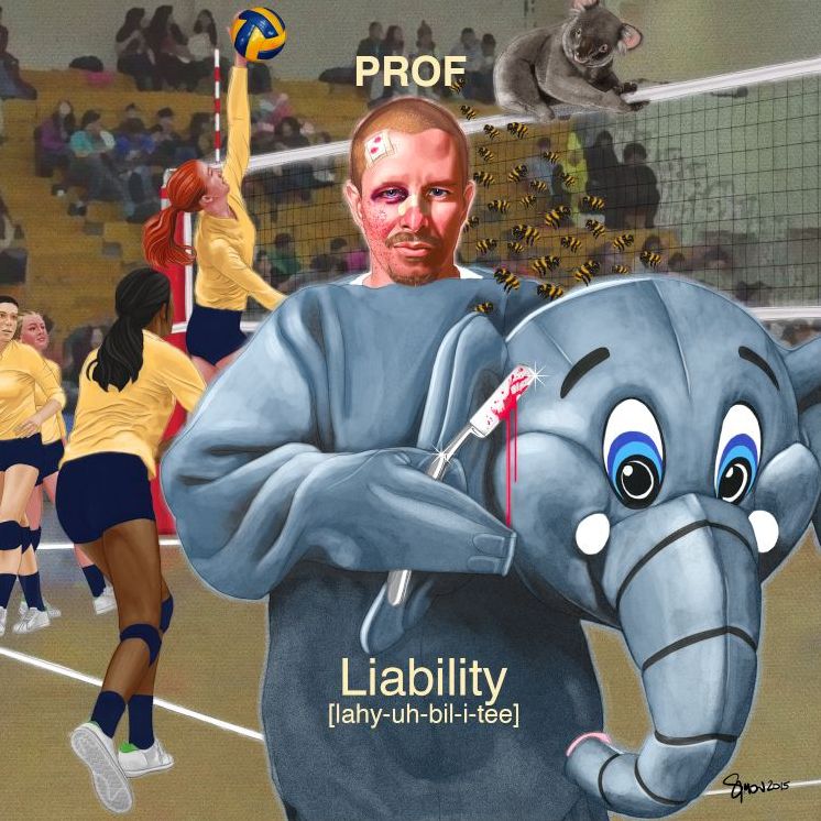 Liability [Lp]