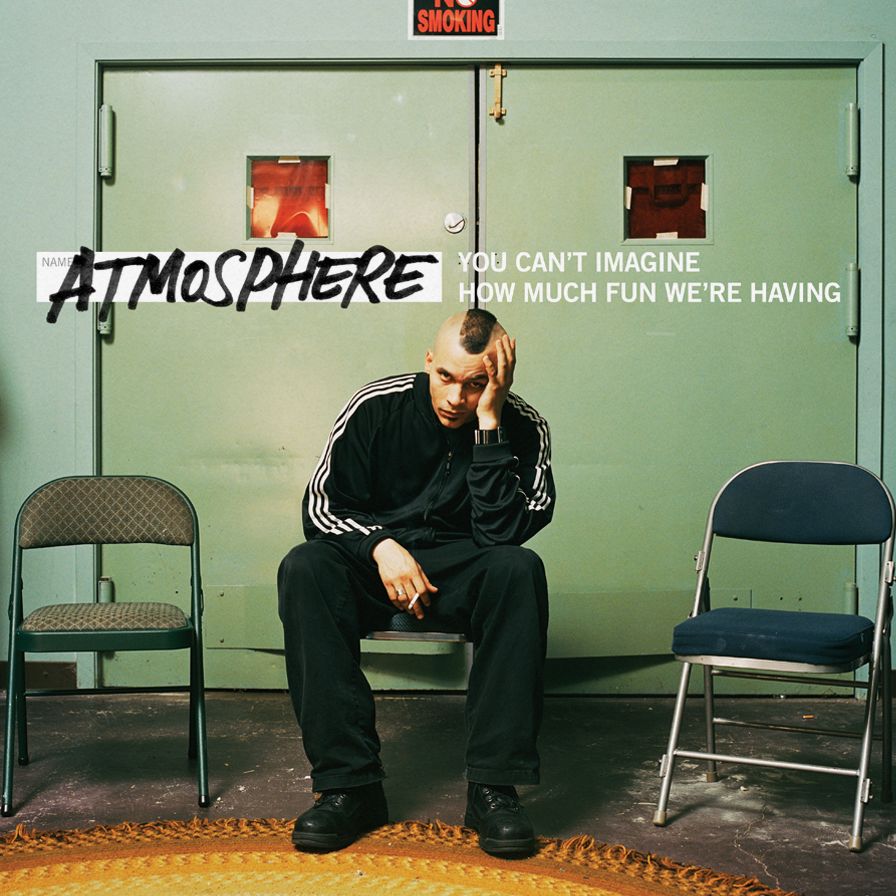 You Can't Imagine How Much Fun We're Having [10Th Anniversary Edition] [4 Lp]