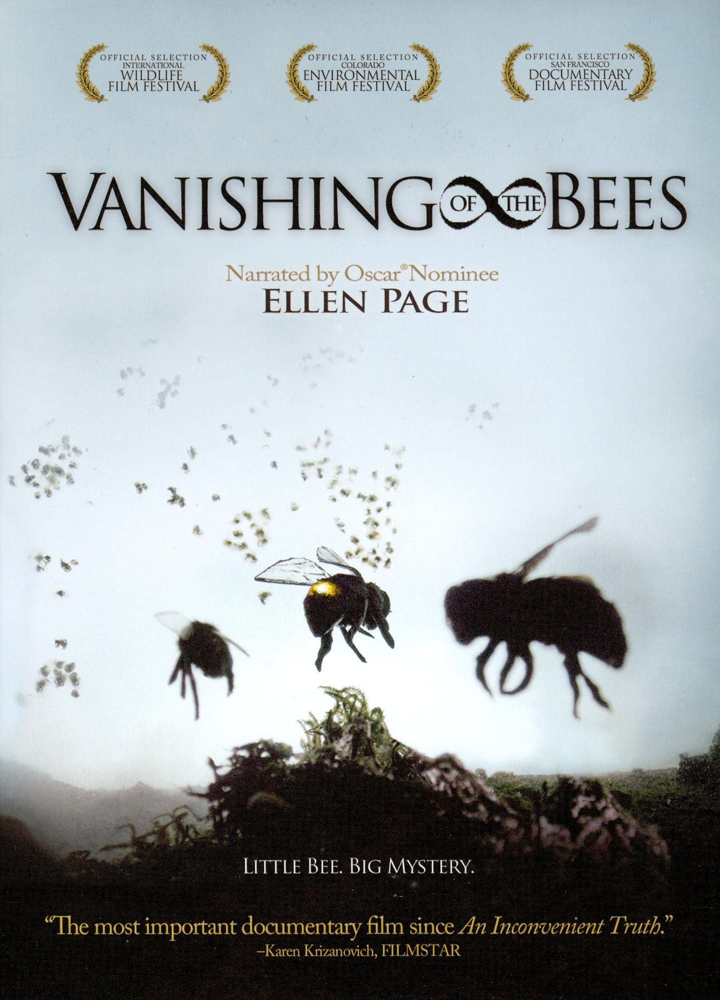 Vanishing of the Bees