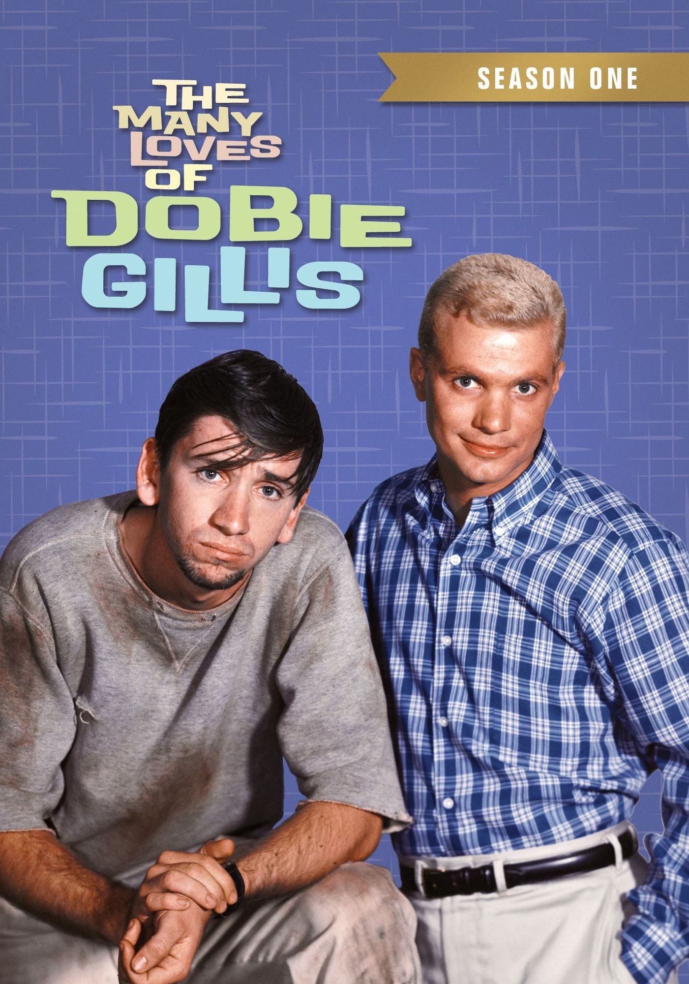 Many Loves Of Dobie Gillis: Season One