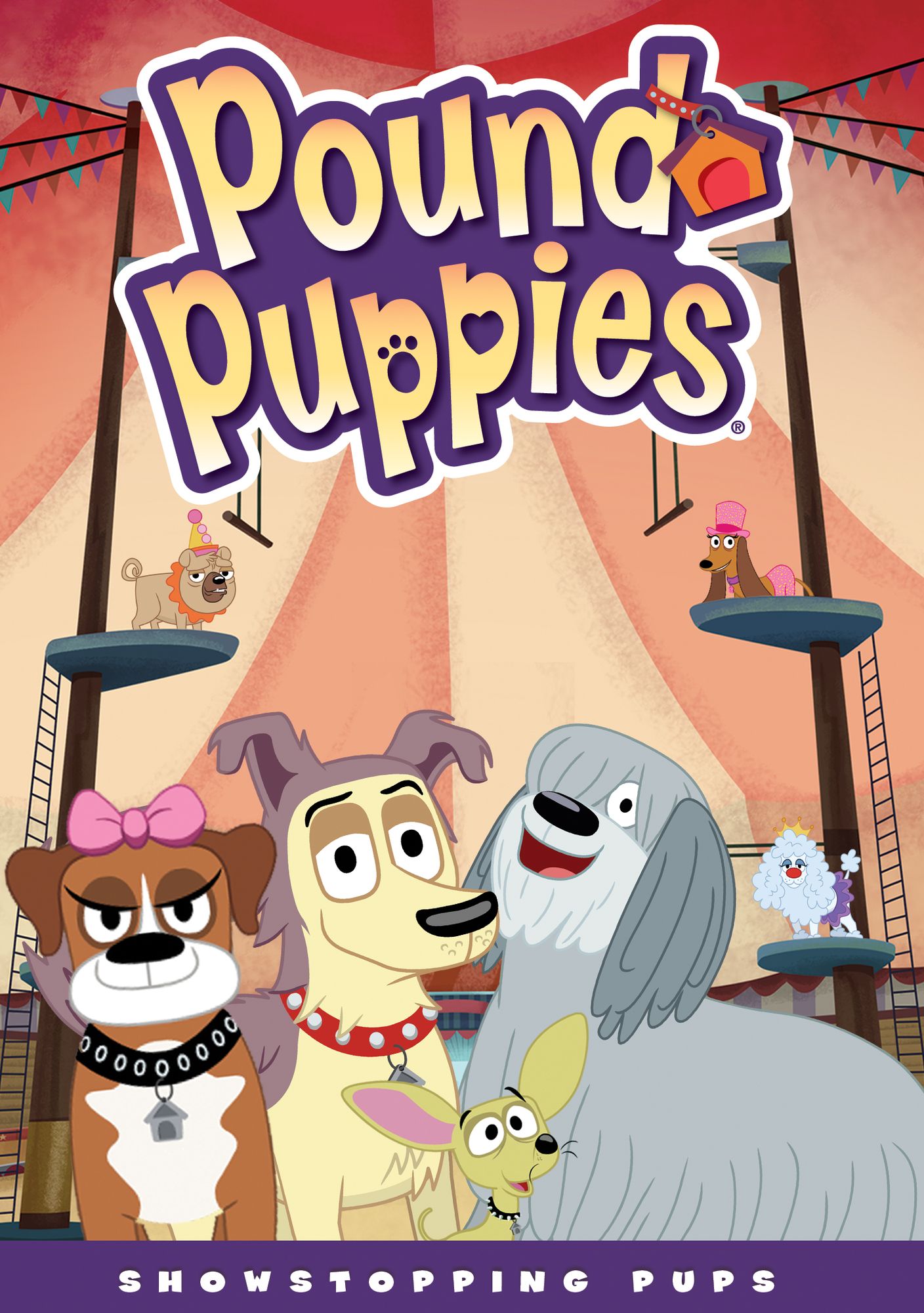 Pound Pupppies: Showstopping Pups