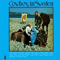 Cowboy In Sweden
