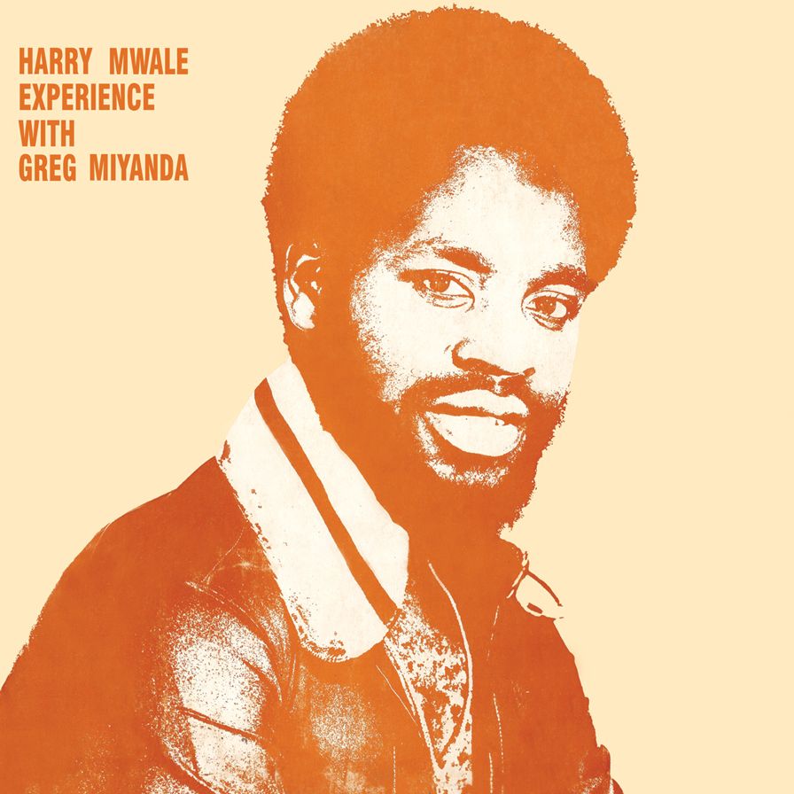 Harry Mwale Experience