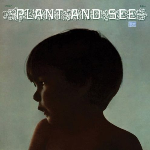 Plant And See