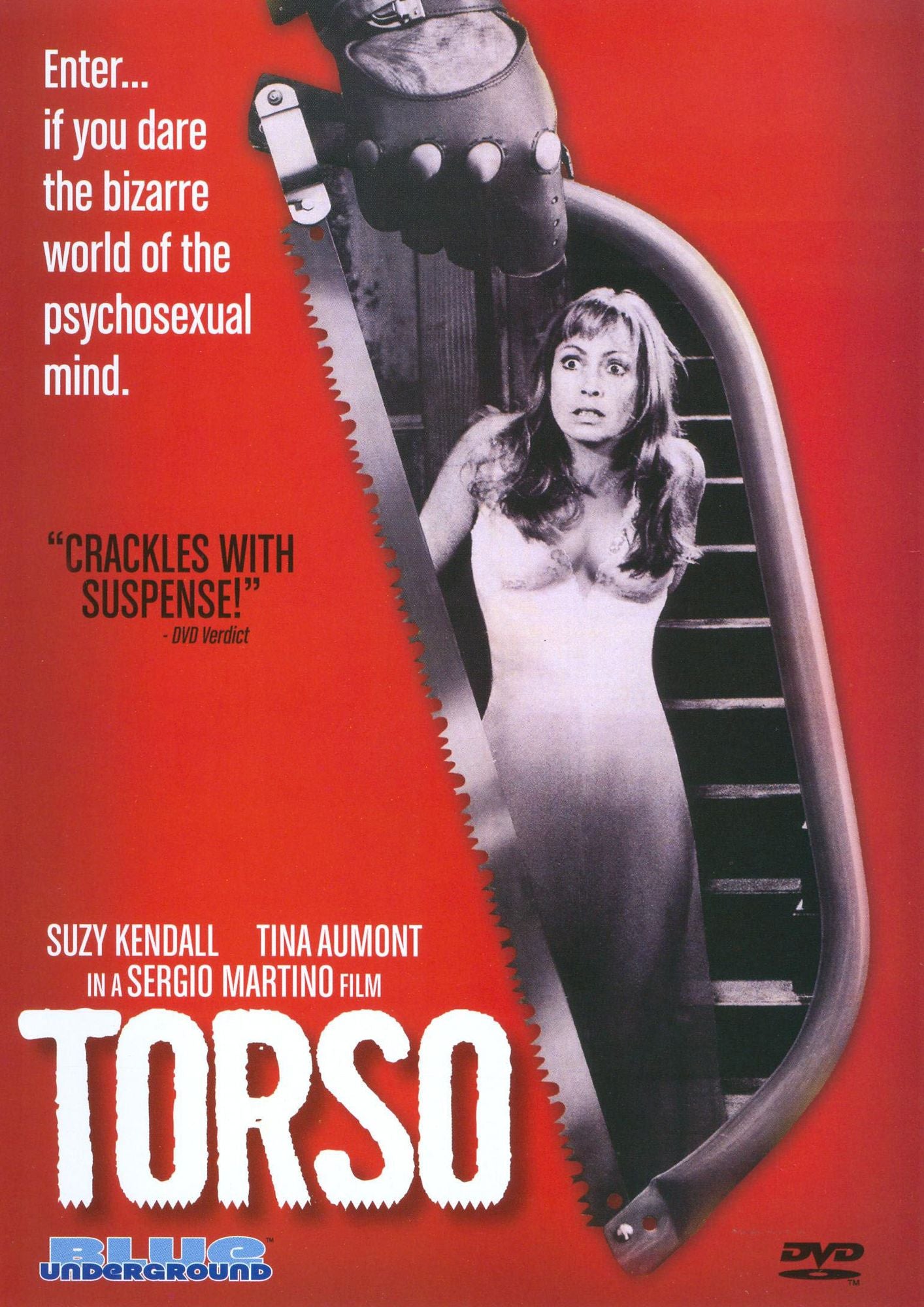 Torso