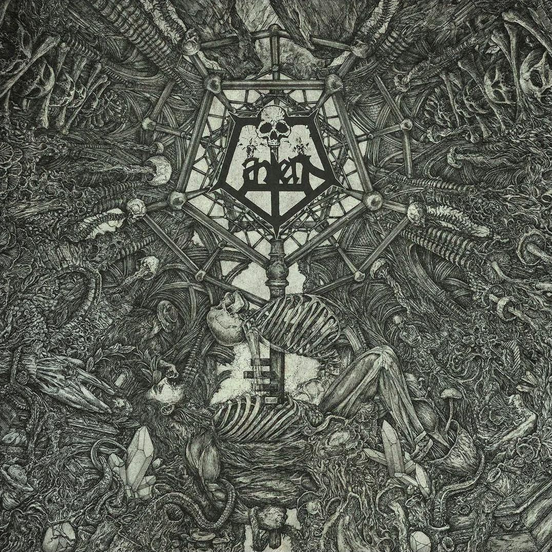 Ii: Morphosis