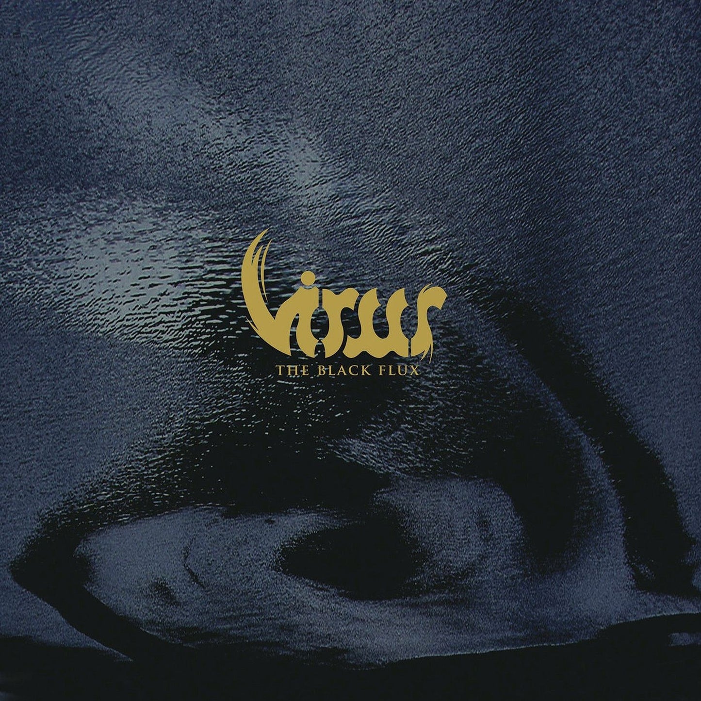 The Black Flux