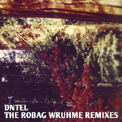 The Robag Wruhme Remixes