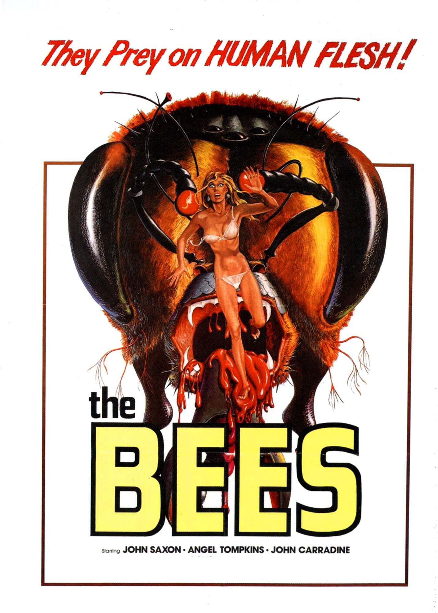 The Bees