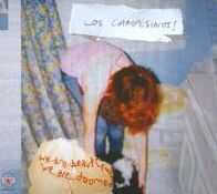 Los Campesinos! We Are Beautiful, We Are Doomed [CD/DVD]