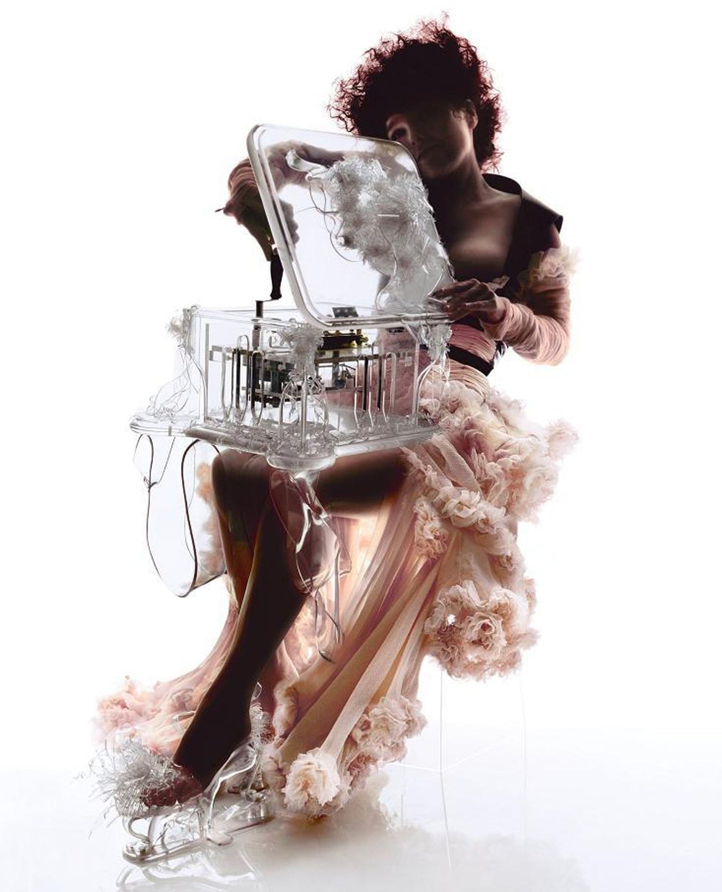 Bjork: Live at the Royal Opera House