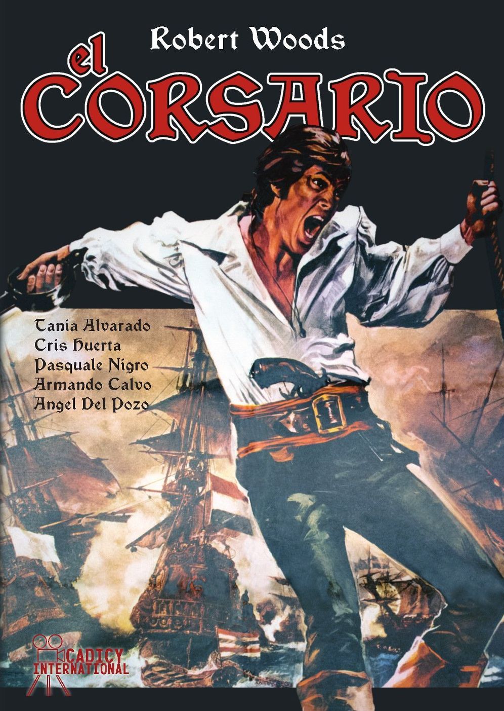 The Return Of The Black Pirate