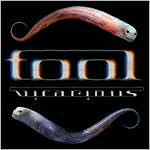Tool: Vicarious