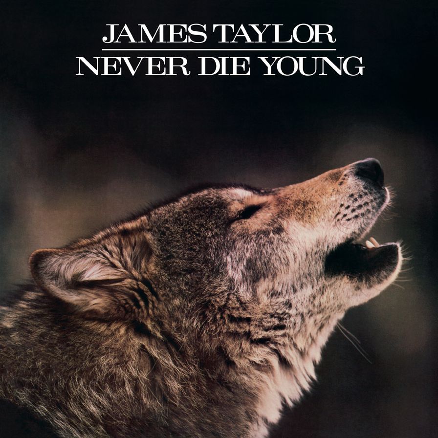 Never Die Young