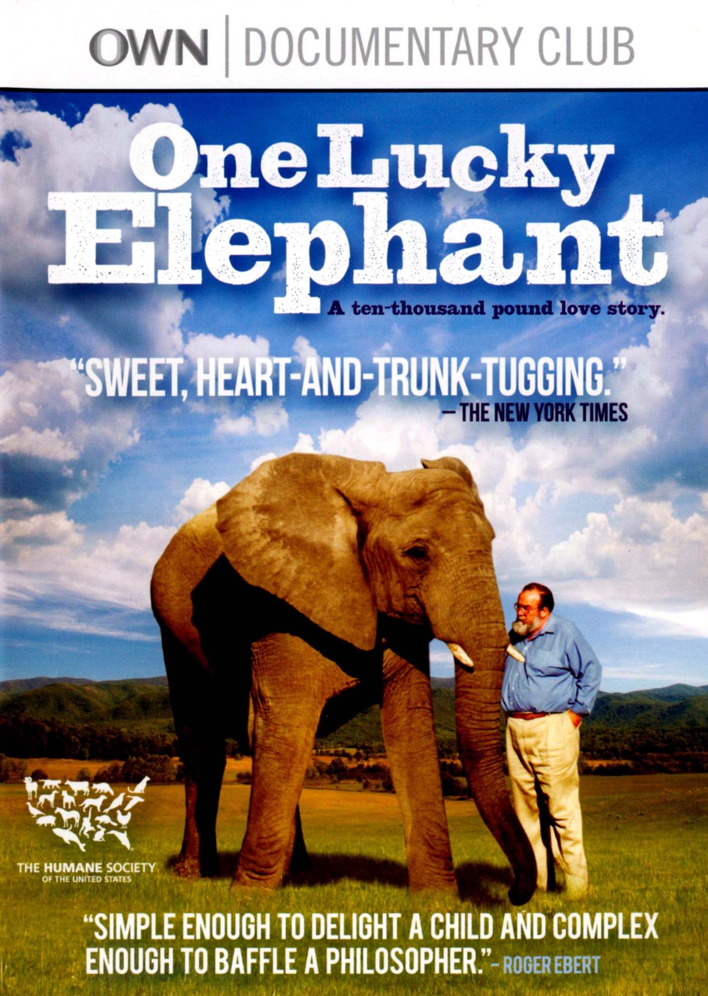 One Lucky Elephant