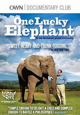 One Lucky Elephant