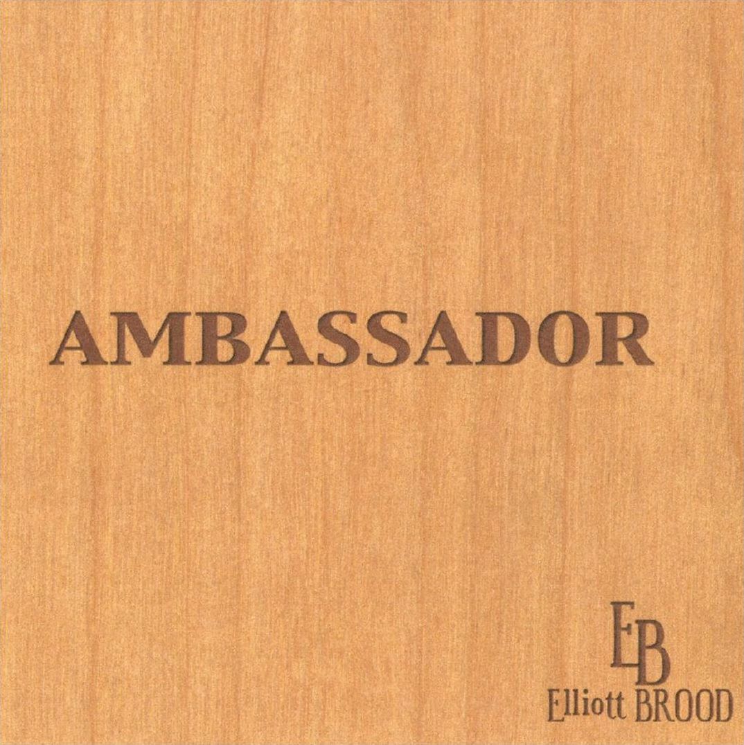 Ambassador