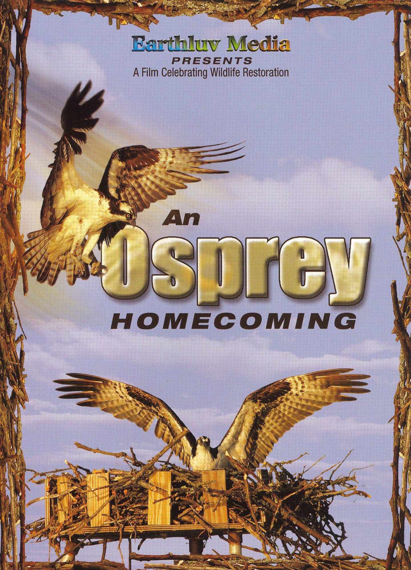 An Osprey Homecoming