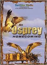 An Osprey Homecoming