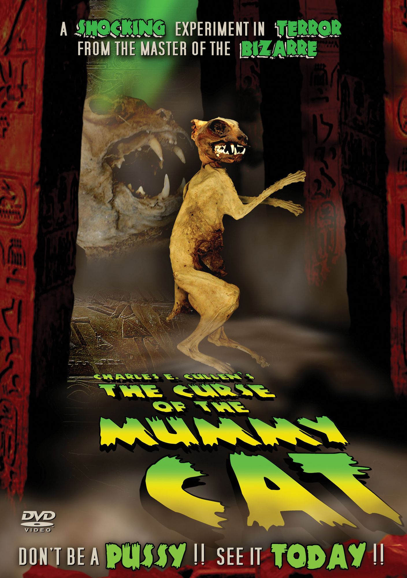 The Curse of the Mummy Cat