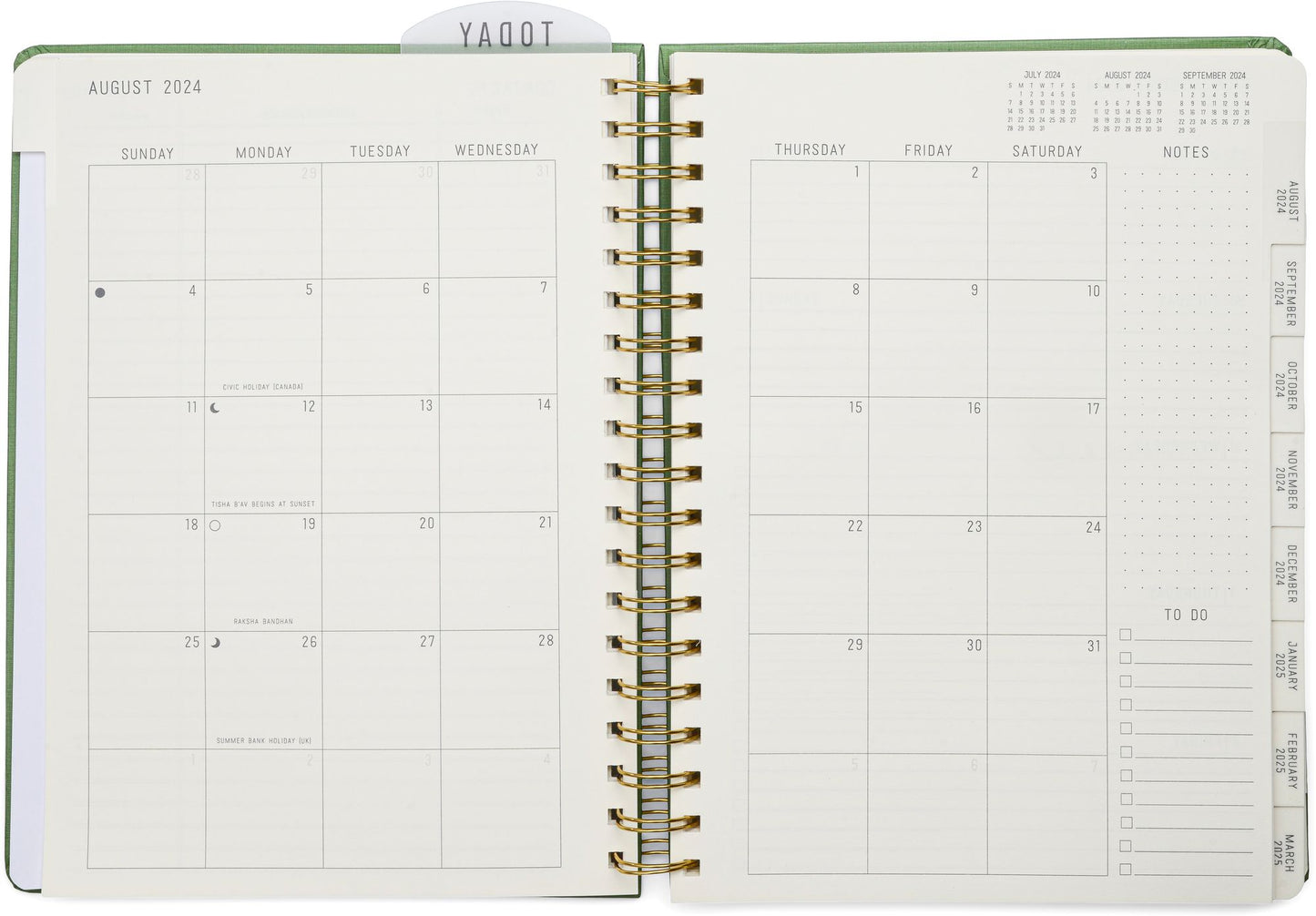 2025 Pine Standard Issue Large 17-month Weekly Planner