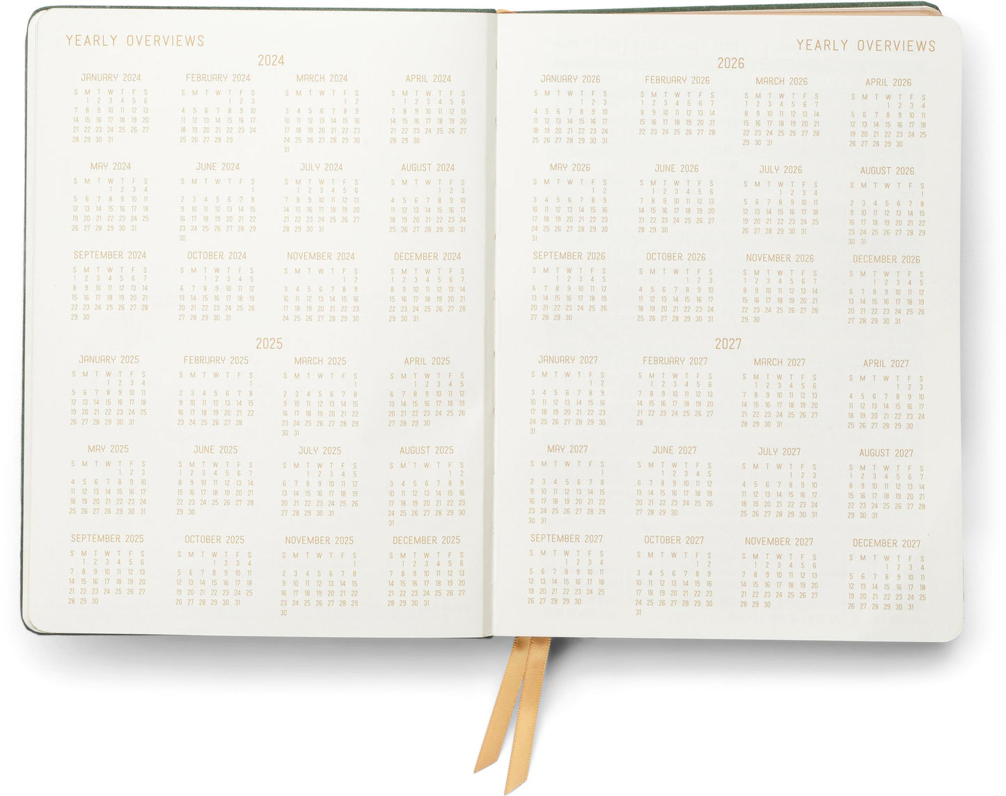 2025 Plan It Out 12-Month Daily Planner