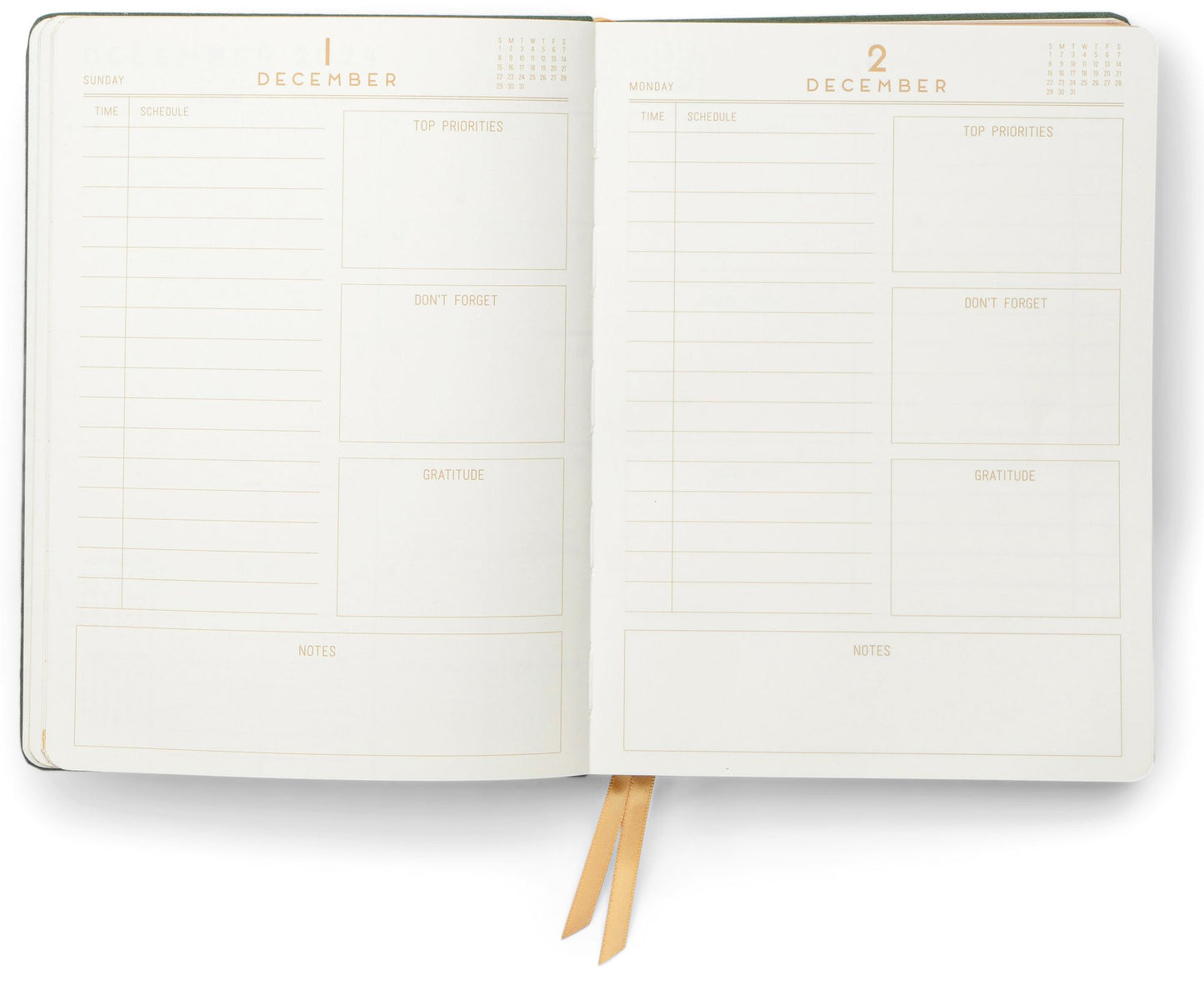 2025 Plan It Out 12-Month Daily Planner