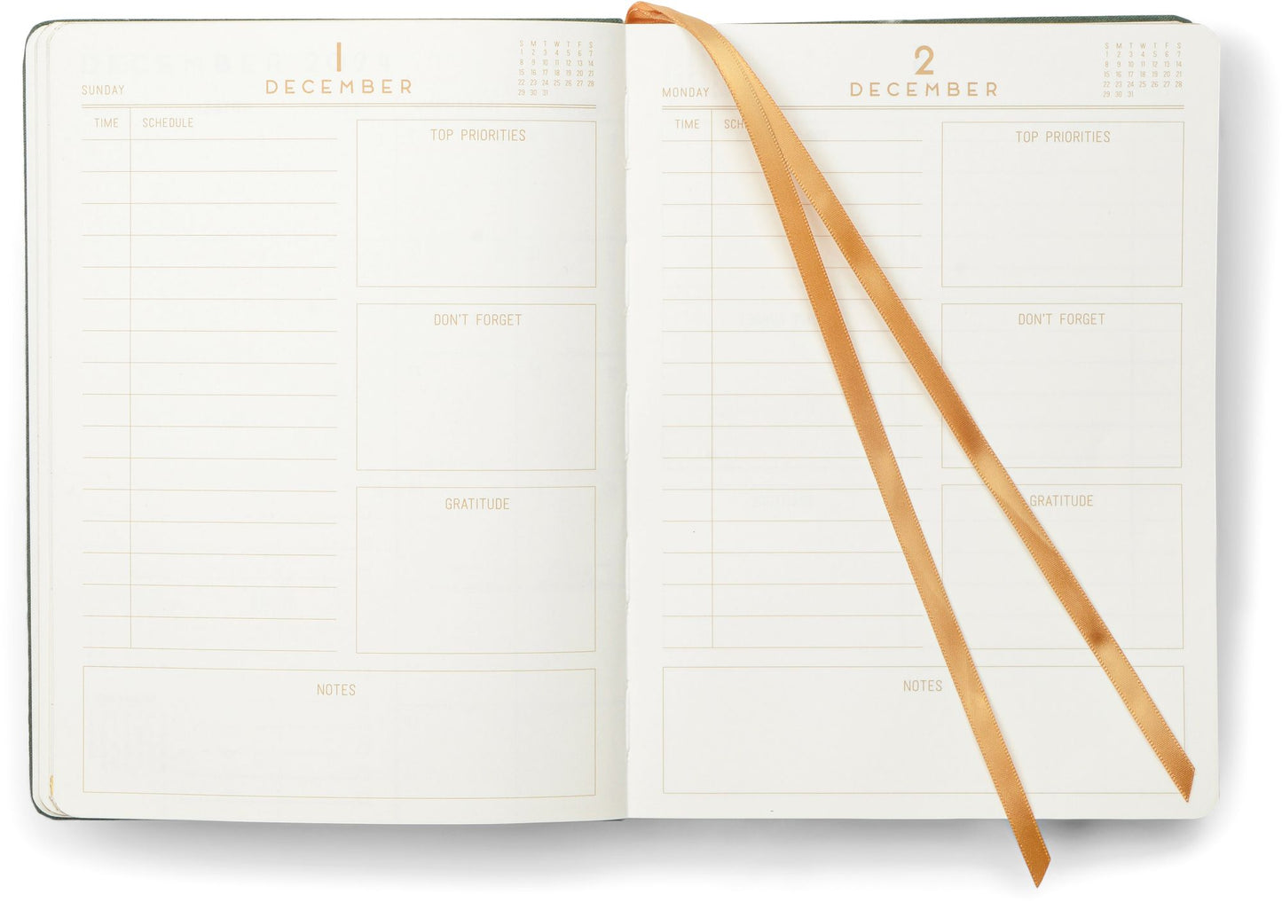 2025 Plan It Out 12-Month Daily Planner