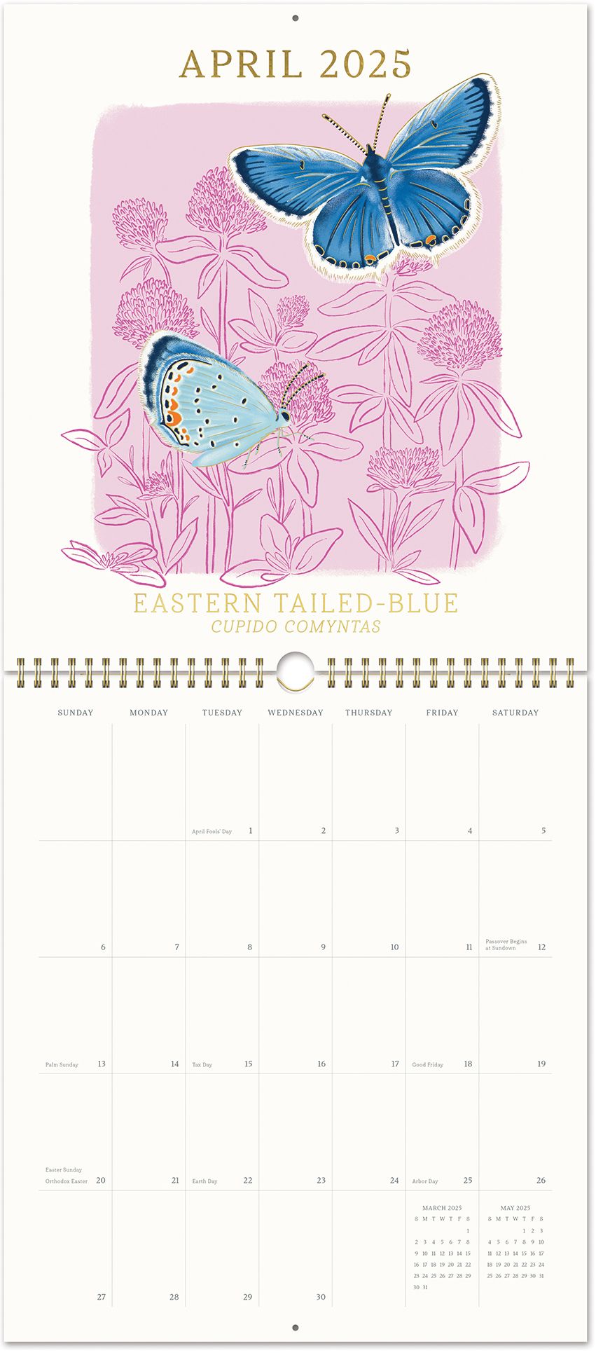 2025 Paper Source Butterfly Birth Month Calendar Wall Calendar with Foil