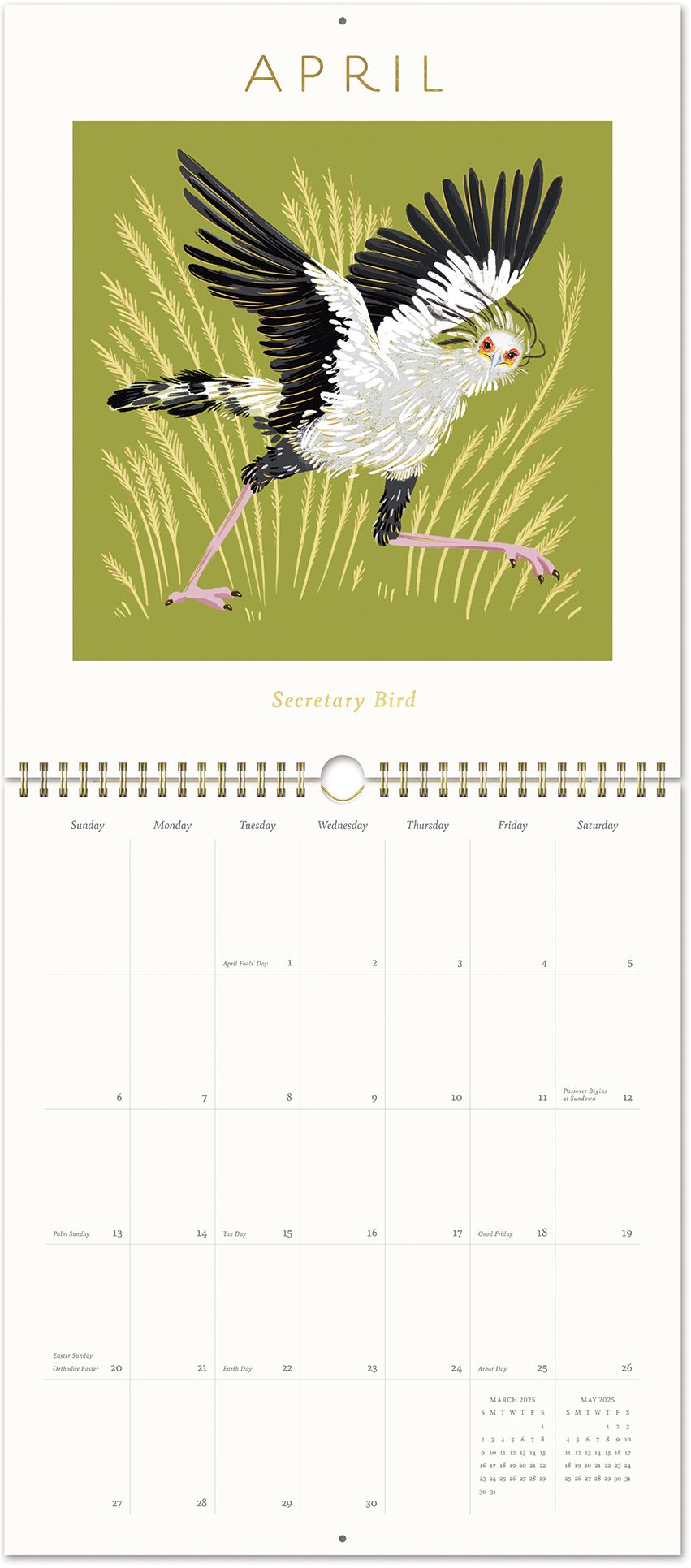 2025 Paper Source Bird Calendar Wall Calendar with Foil