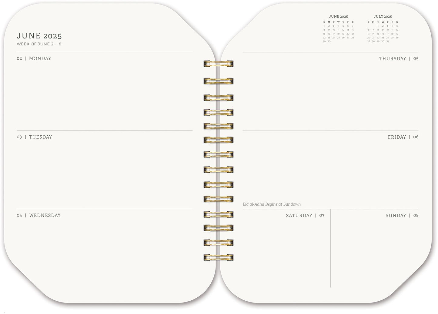 2025 Paper Source Sardine Can Diecut Planner