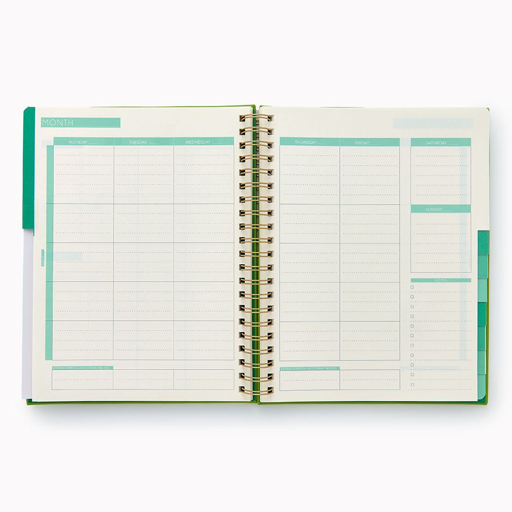Undated Green Spiral Paper Wasp Teacher Planner