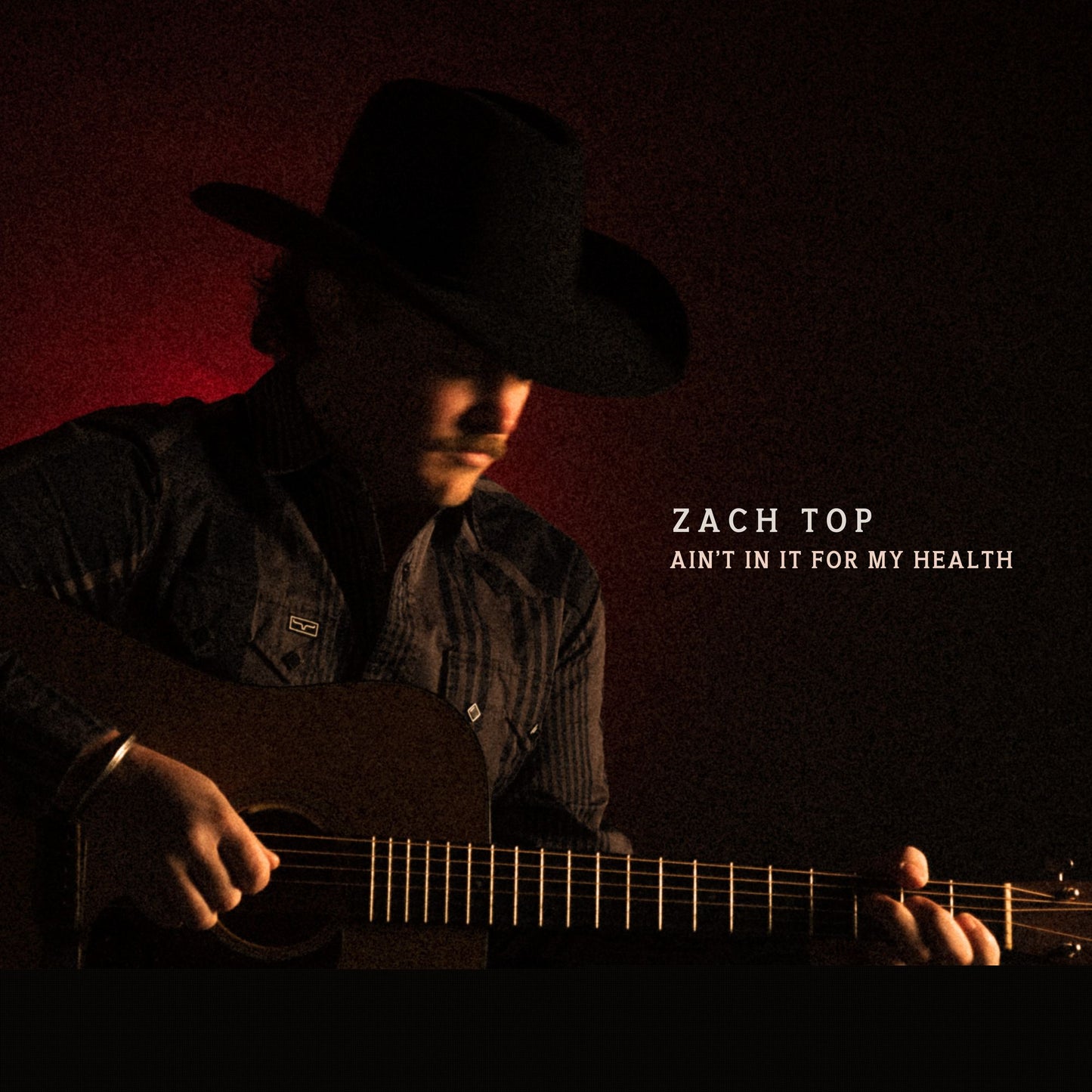 Ain't In It For My Health (Zach Top)