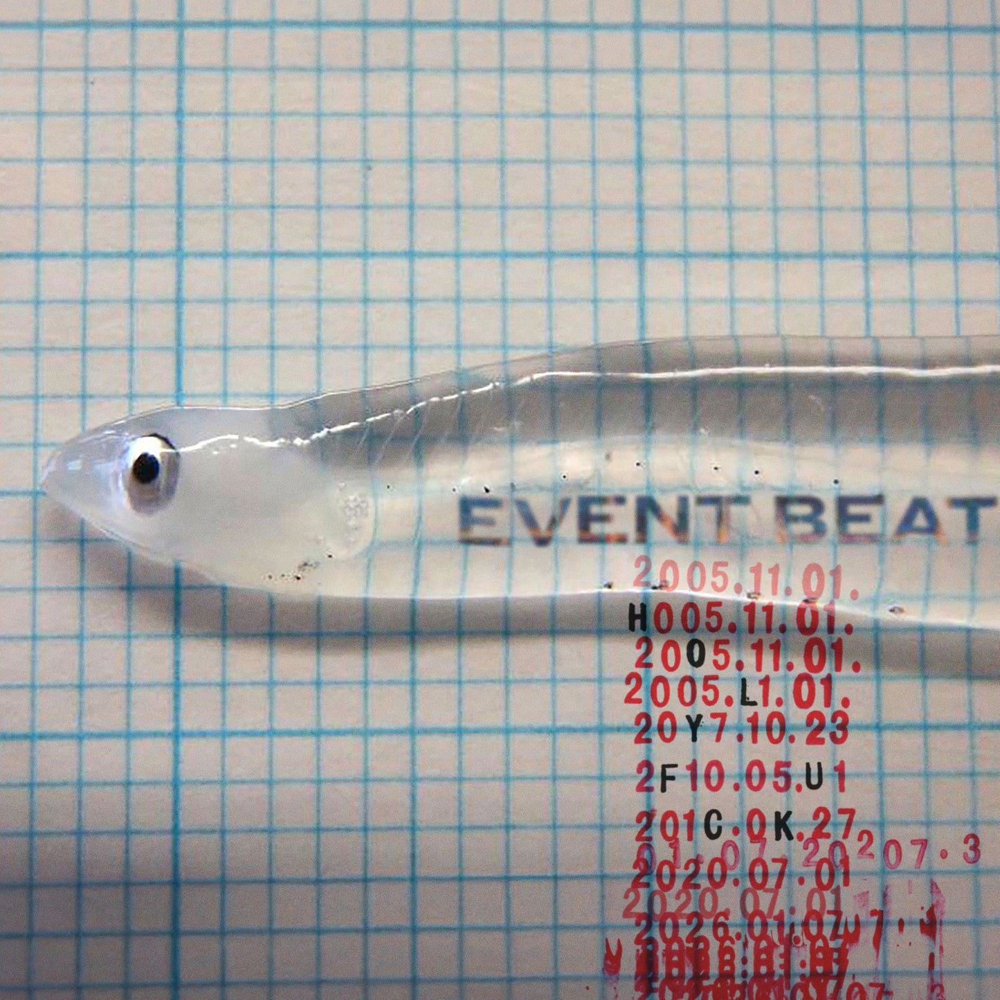 Event Beat (Holy Fuck)