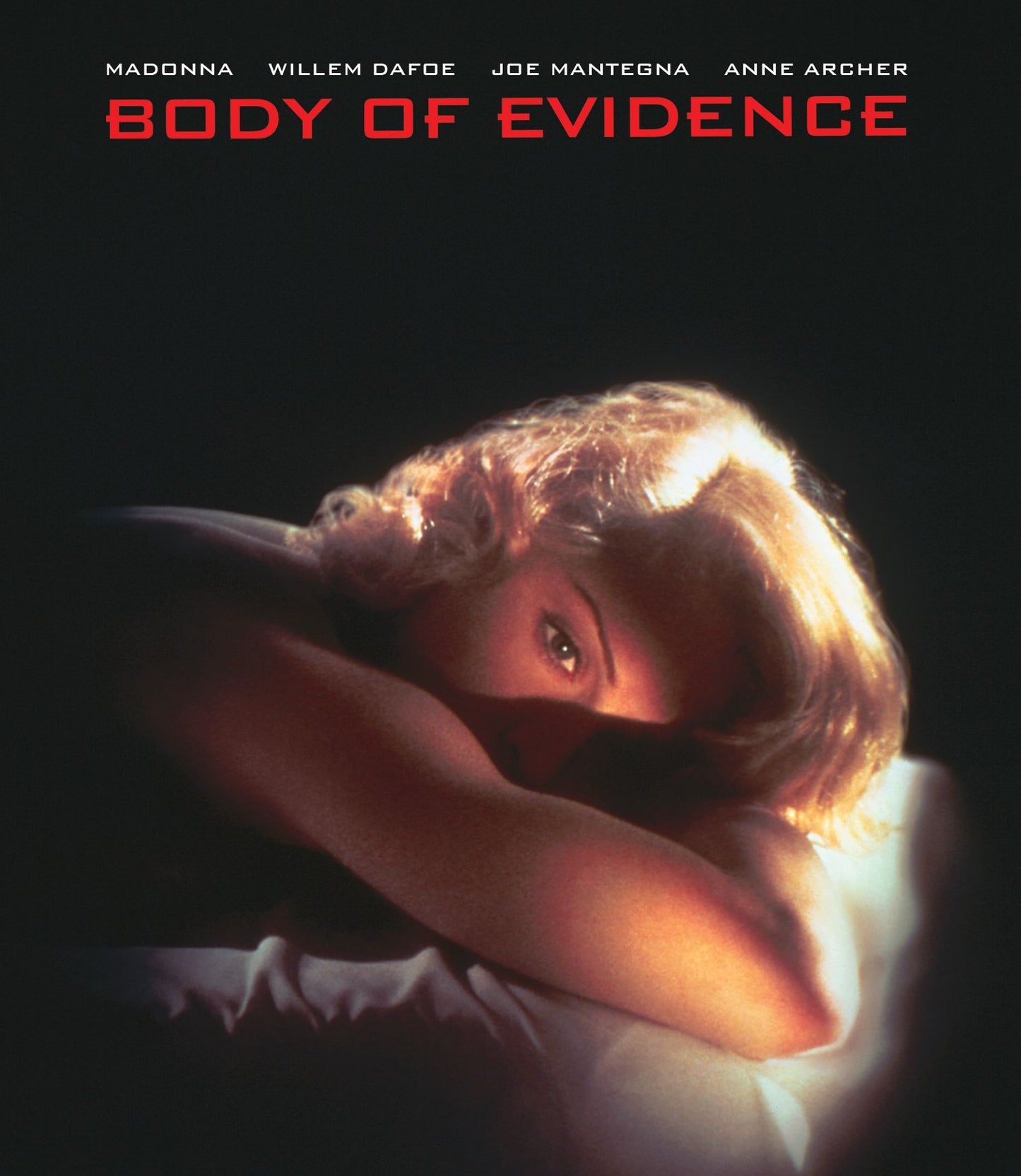 Body Of Evidence