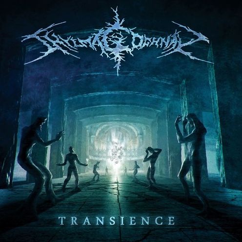 Transience