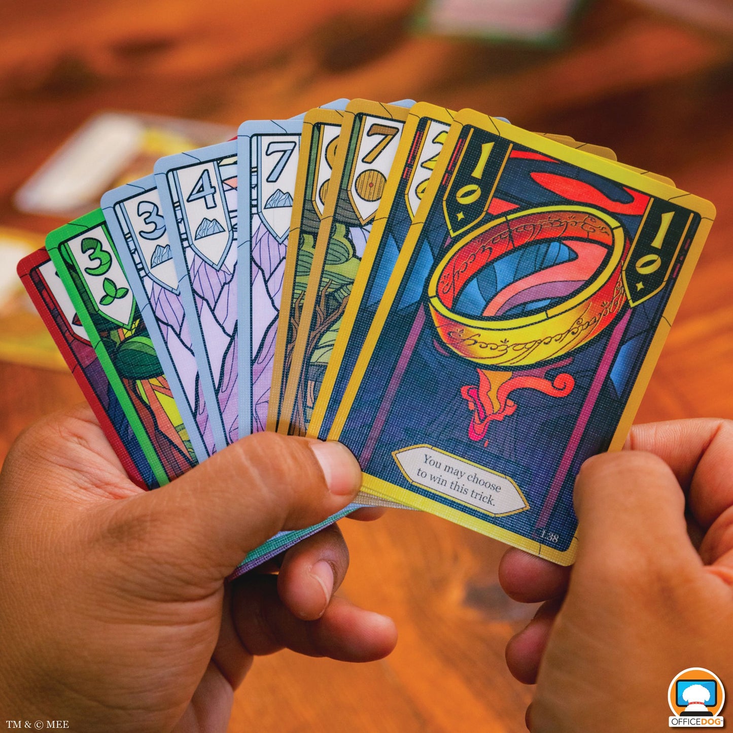 Fellowship of the Ring: Trick-Taking Game by Bryan Bornmueller