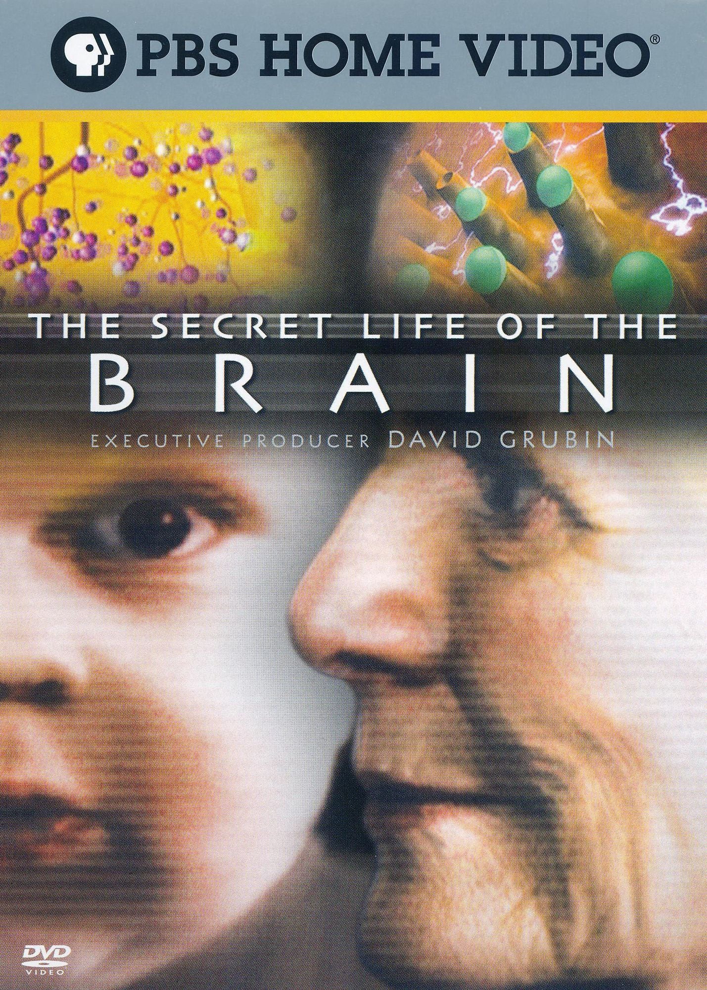 The Secret Life of the Brain [3 Discs]