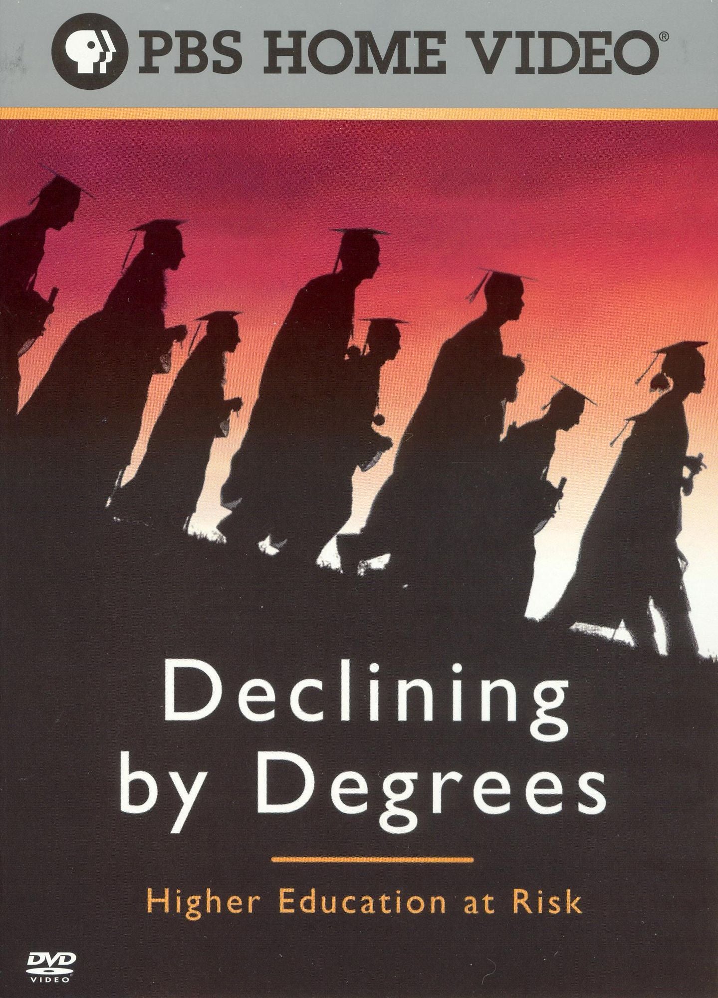 Declining by Degrees: Higher Education at Risk