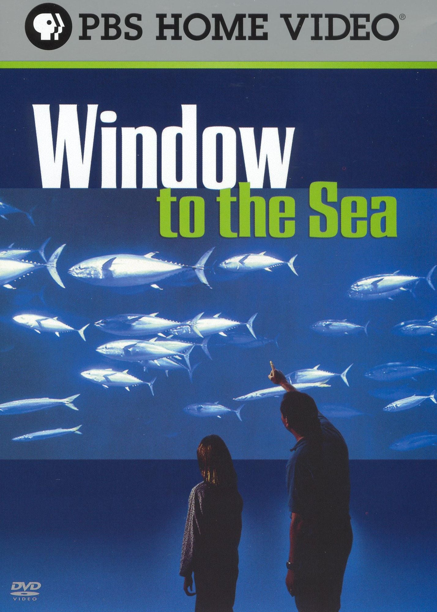 Window to the Sea