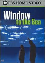 Window to the Sea