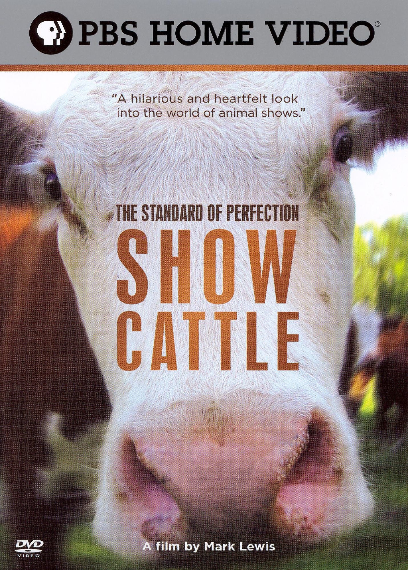 The Standard of Perfection: Show Cattle