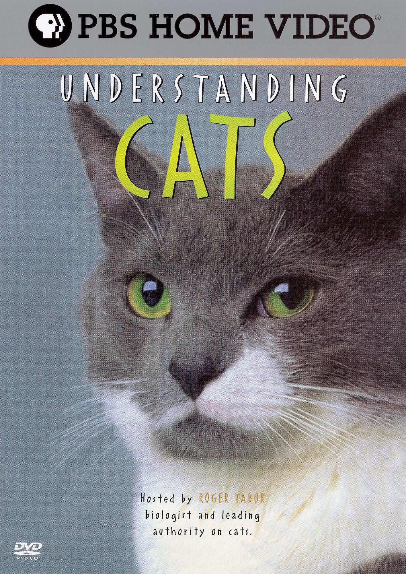 Understanding Cats