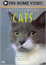 Understanding Cats