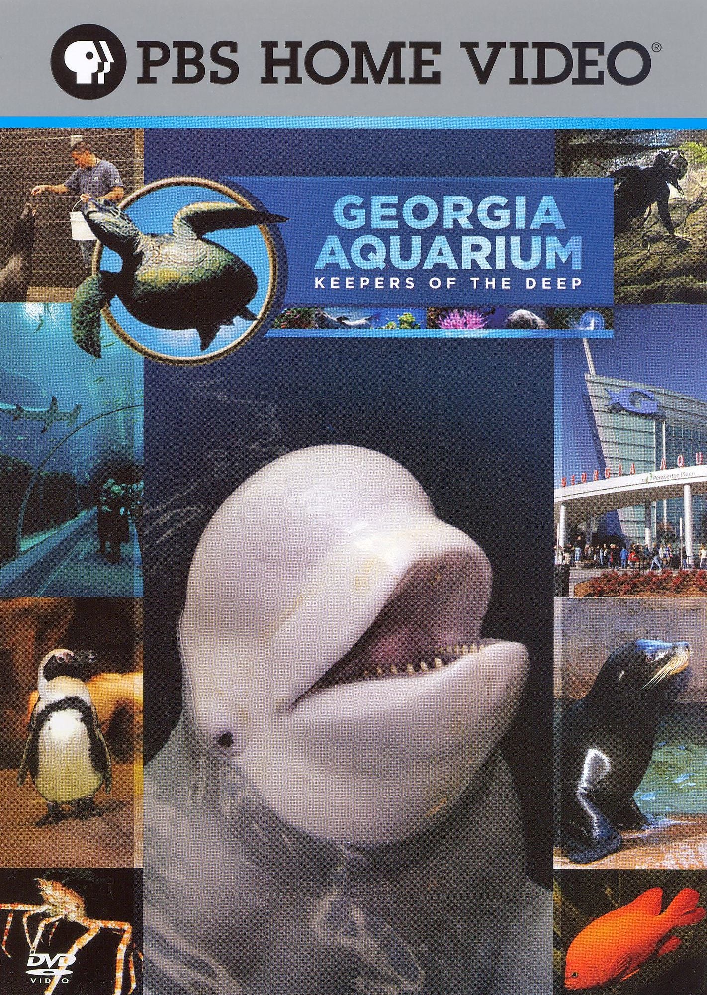 Georgia Aquarium - Keepers of the Deep