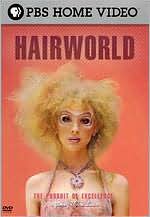 The Pursuit of Excellence: Hair World