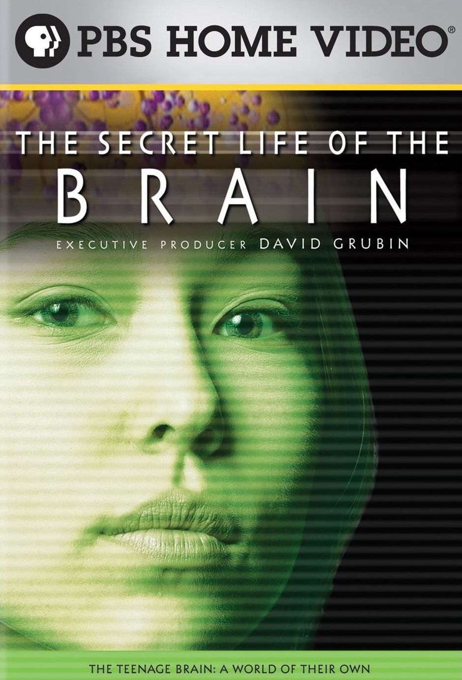 The Secret Life Of The Brain, Part 3: The Teenage Brain - A World Of Their Own