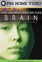 The Secret Life Of The Brain, Part 3: The Teenage Brain - A World Of Their Own