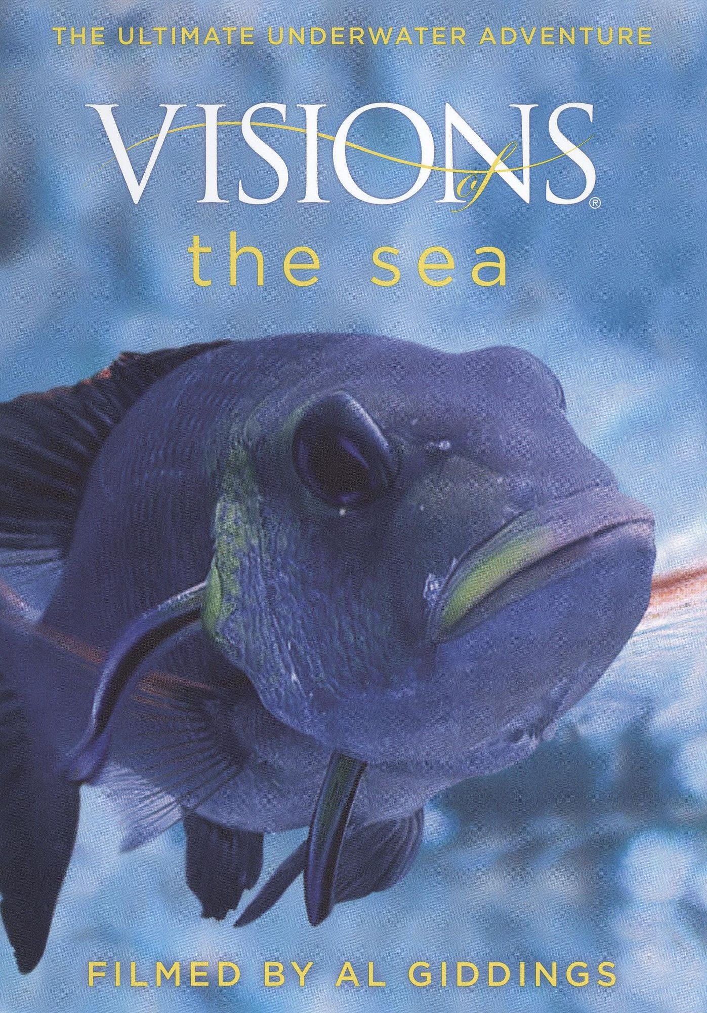 Visions of the Sea